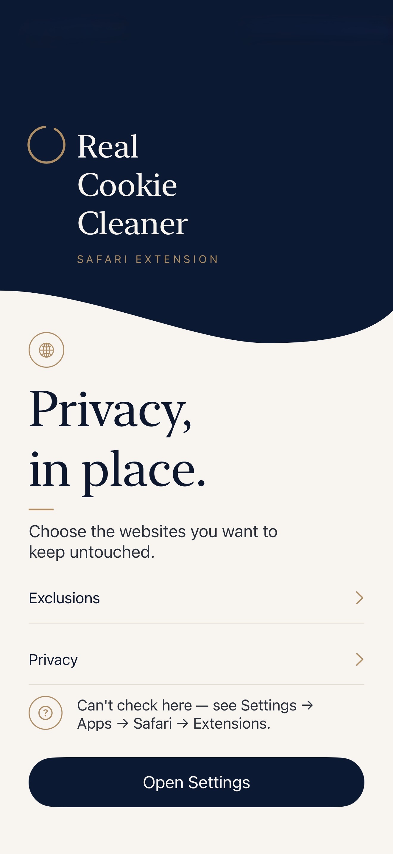 Real Cookie Cleaner overview screen showing exclusions, privacy, and Safari settings guidance